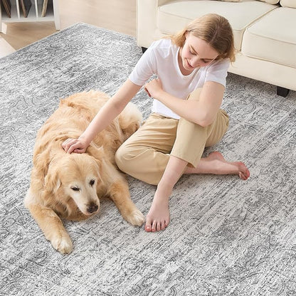 Area Rug Living Room Rugs - 5x7 Abstract Large Soft Indoor Washable Rug Neutral Modern Low Pile Carpet for Bedroom Dining Room Farmhouse Home Office - Vintage Grey