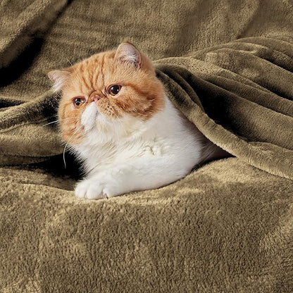 Bedsure GentleSoft Fleece Throw Blanket Camel - 300GSM Blankets for Couch, Sofa, Bed, Soft Lightweight Plush Cozy Throws for Toddlers, 50x60 inches