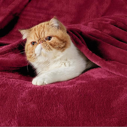 Flannel Fleece Luxury Blanket Red Queen(90"x90") Size Lightweight Cozy Plush Microfiber Solid Blanket by Bedsure
