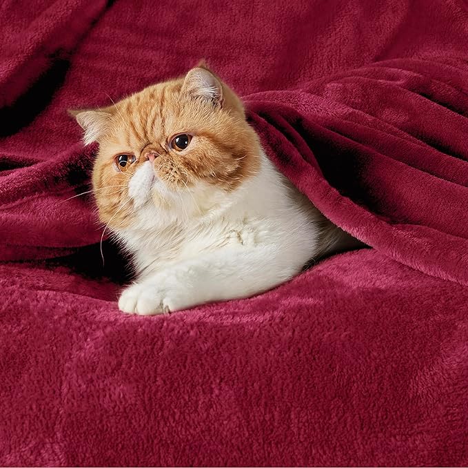 Bedsure GentleSoft Fleece Blanket Twin Size Red - 300GSM Lightweight Plush Fuzzy Cozy Soft Warm Blanket for Bed, Sofa, Couch, Travel, Camping, 60x80 inches