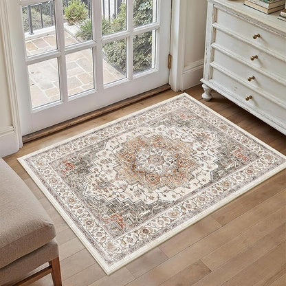 Area Rug 2x3 Entryway Rug Soft Washable Doormat Non Slip Low Pile Lightweight Carpets Indoor Faux Wool Small Rug for Entrance, Kitchen, Bedroom, Living Room