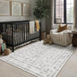 Grey 3x5 Entryway Rug Vintage Area Carpet Indoor Kitchen Washable Door Mat Entrance Small Low Pile Traditional Distressed Retro Accent Throw Rug Non Slip Office Bathroom