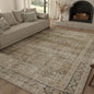 Fmfunctex 5x7 Washable Area Rug Neutral Vintage Brown Distressed Non Slip Low Pile Retro Indoor Carpet for Living Room Bedroom Soft Mat Throw Rug for Dining Office Kitchen Dorm Nursery Entryway, Multi
